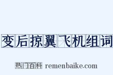 变后掠翼飞机组词是什么意思的图片